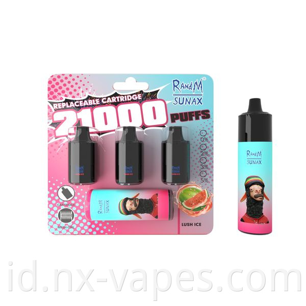 RandM Sunax 21000 puffs